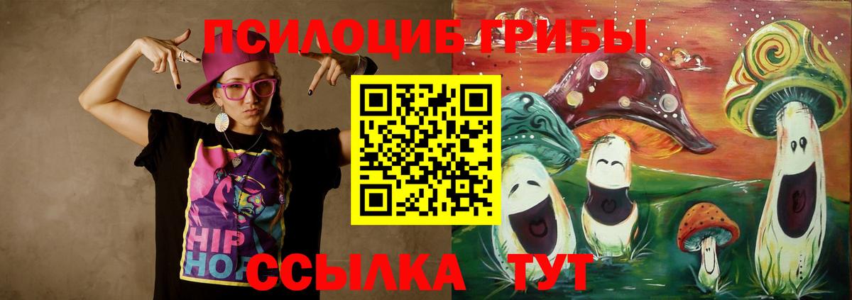 Вольск  Псилоцибиновые грибы GOLDEN TEACHER  Псилоцибиновые грибы мицелий  Вход с VPN 